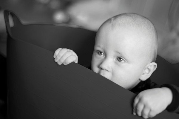 Gal_131805_0126 copy